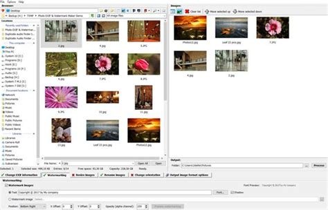 3delite Duplicate Picture Finder
