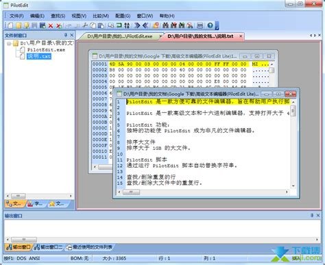 PilotEdit Pro 19.6.0 Download